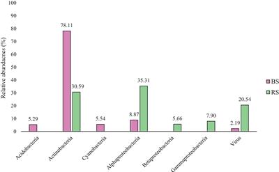 Comparative Metagenomic Study of Rhizospheric and Bulk Mercury-Contaminated Soils in the Mining District of Almadén